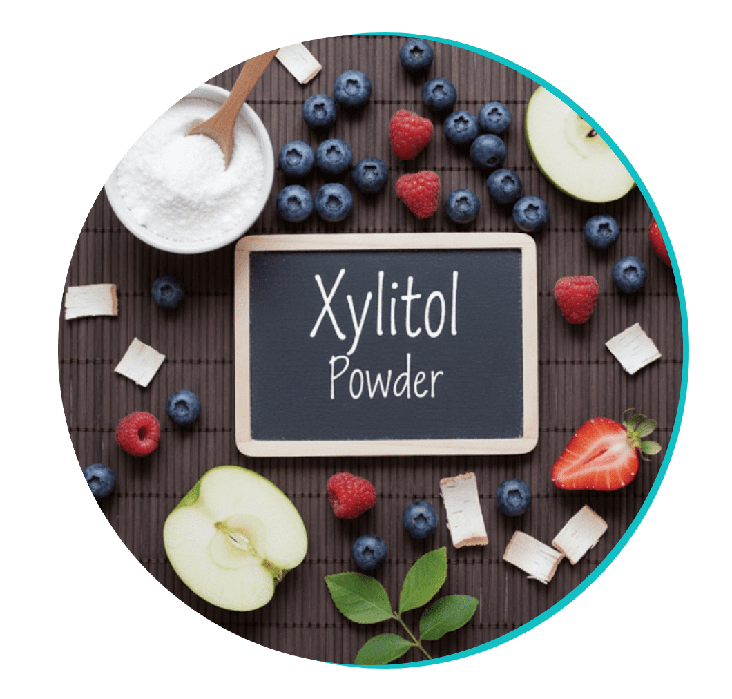 Xylitol Powder