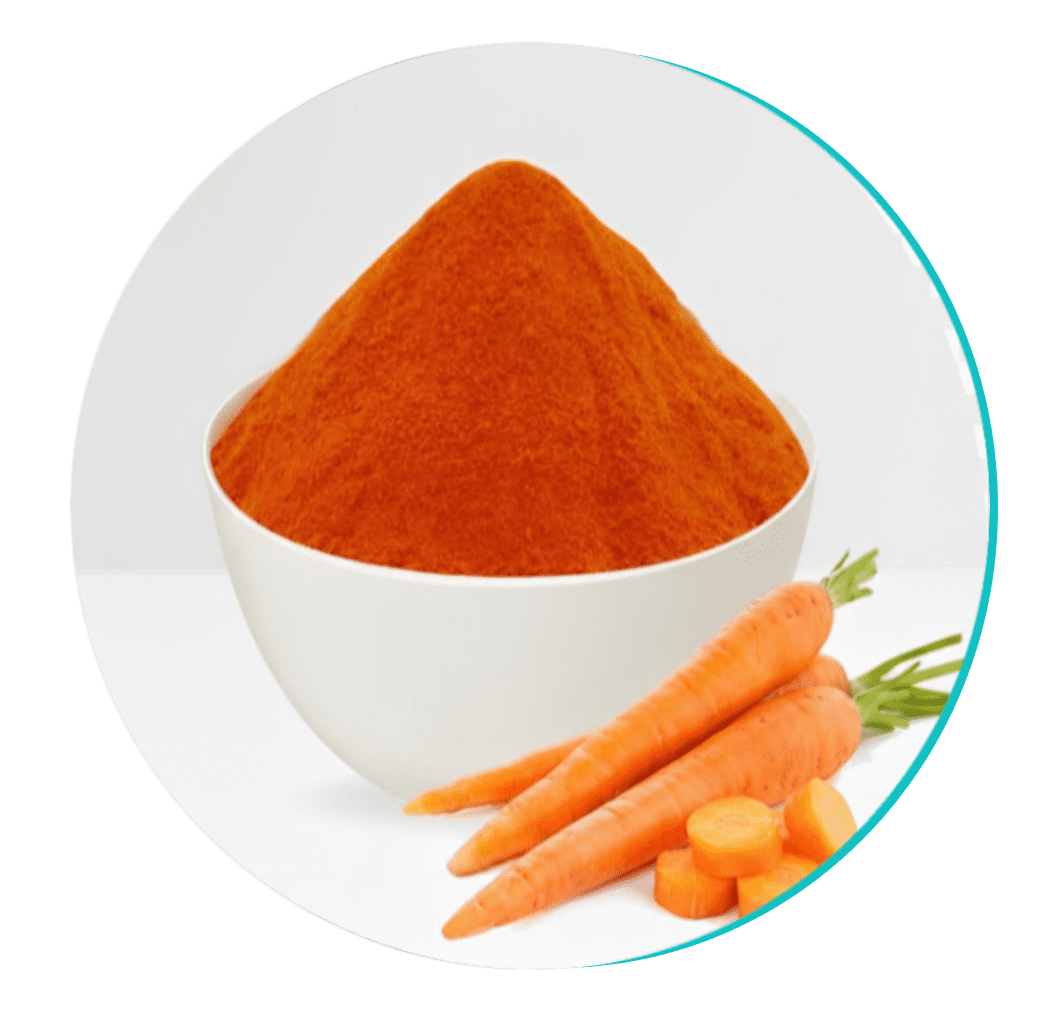 Carrot Powder