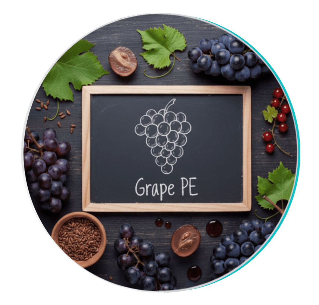 Grape Seed Extract