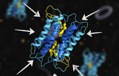 Clinical References on Metabolic Health